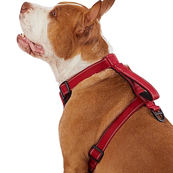 🆕 KONG® MAX Neoprene Padded Dog Harness - Picture 4 of 5